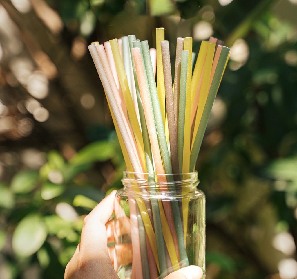 Ống hút gạo sinh học cao cấp cho thế giới xanh