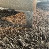 Leolux Castanea 2,5-zitsbank - Details