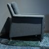 Leolux Evidence Paian fauteuil - Vooraanzicht