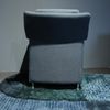 Leolux Evidence Paian fauteuil - Achter aanzicht